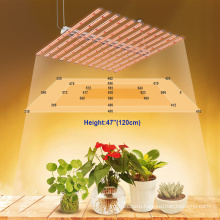 LUXINT Free Shipping to USA Best Price 720W Full Spectrum Led Grow Light Flowering for Indoor From China Factory